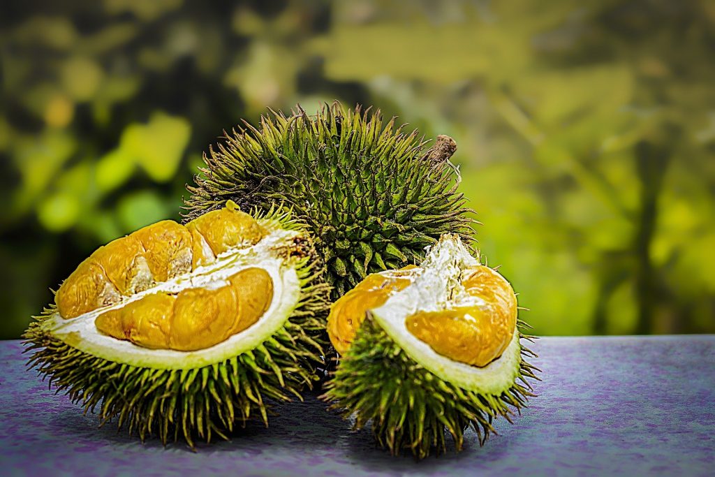 Durian bawor