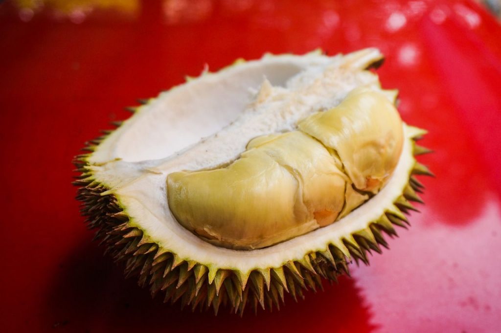 Kandungan Durian Musang King