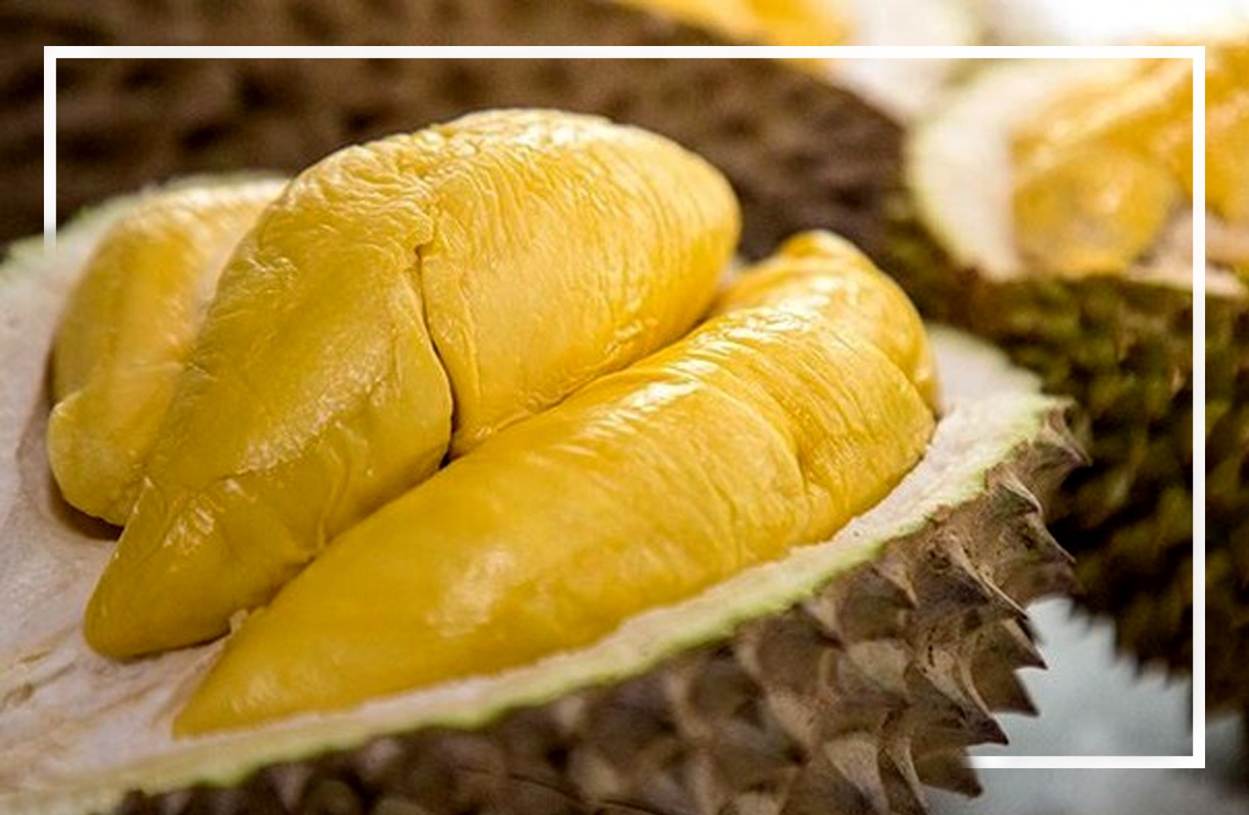 Kandungan dan Manfaat Durian Musang King yang Viral