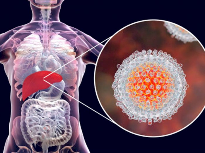 Proses Penularan Hepatitis Misterius vaksin covid 19